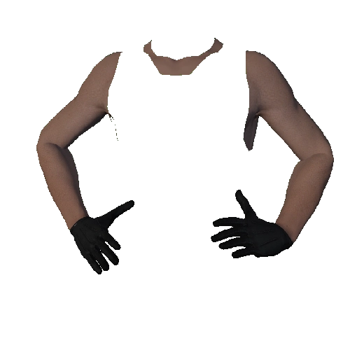 Black Leather Gloves