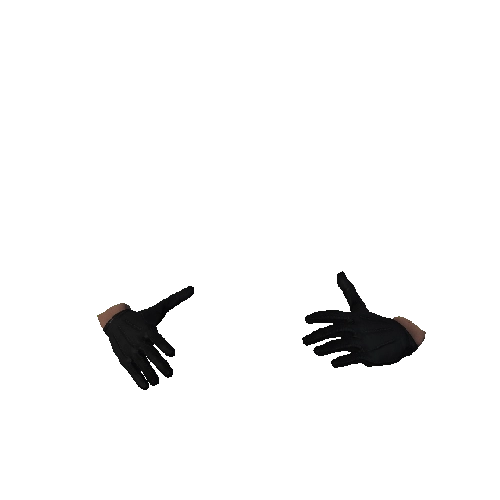 Black Leather Gloves