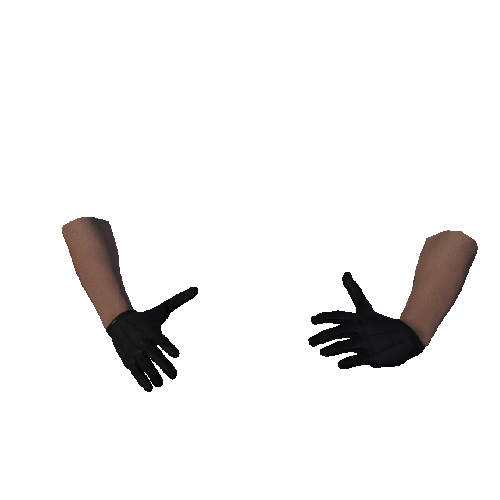 Black Leather Gloves