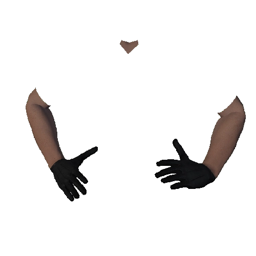 Black Leather Gloves