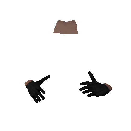 Black Leather Gloves