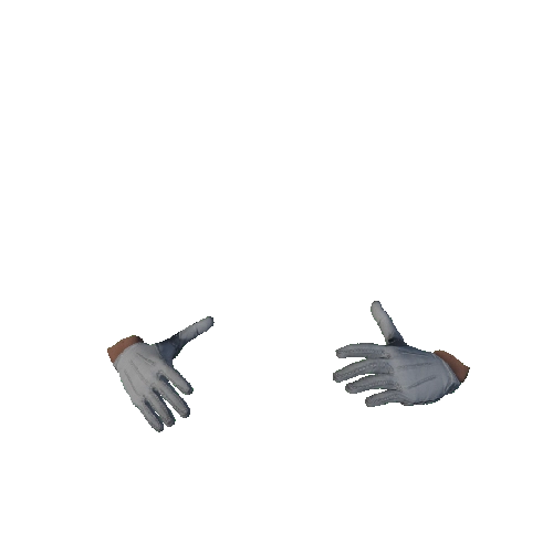 White Cotton Gloves