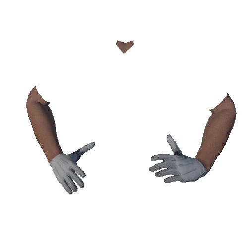 White Cotton Gloves