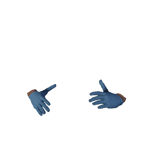Blue Surgical Gloves