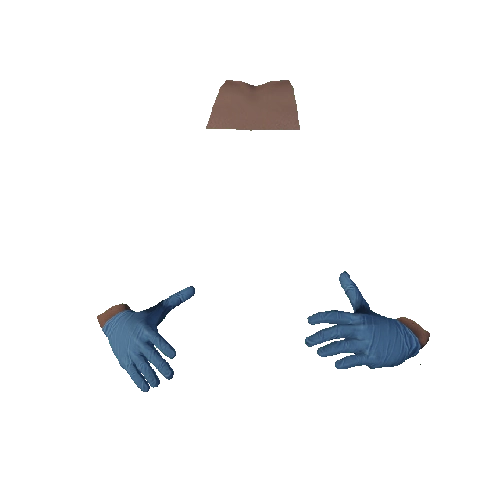 Blue Surgical Gloves