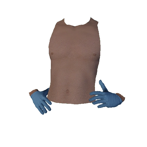 Blue Surgical Gloves