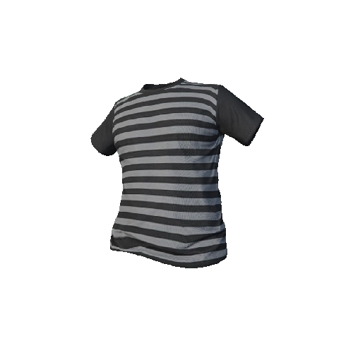 Gray Striped T-Shirt