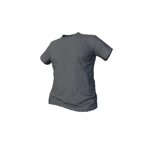 Grey T-Shirt