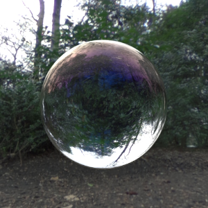 禁用（默认值）