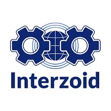 interzoid Logo