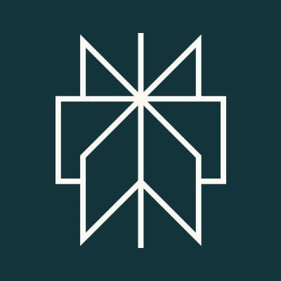 perplexityai Logo