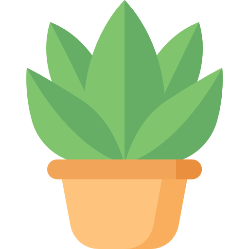 Bonsai