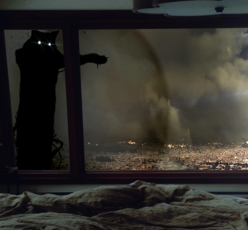 Wallpaper yo33qdyyfozc1.jpeg