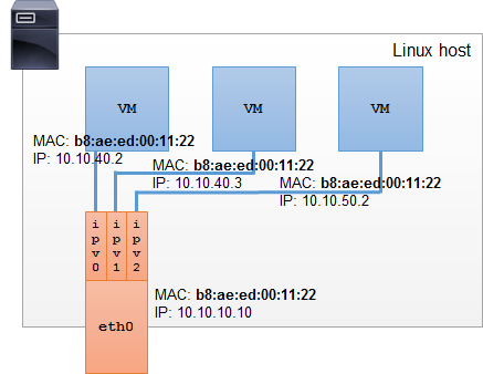 Linux Ipvlan