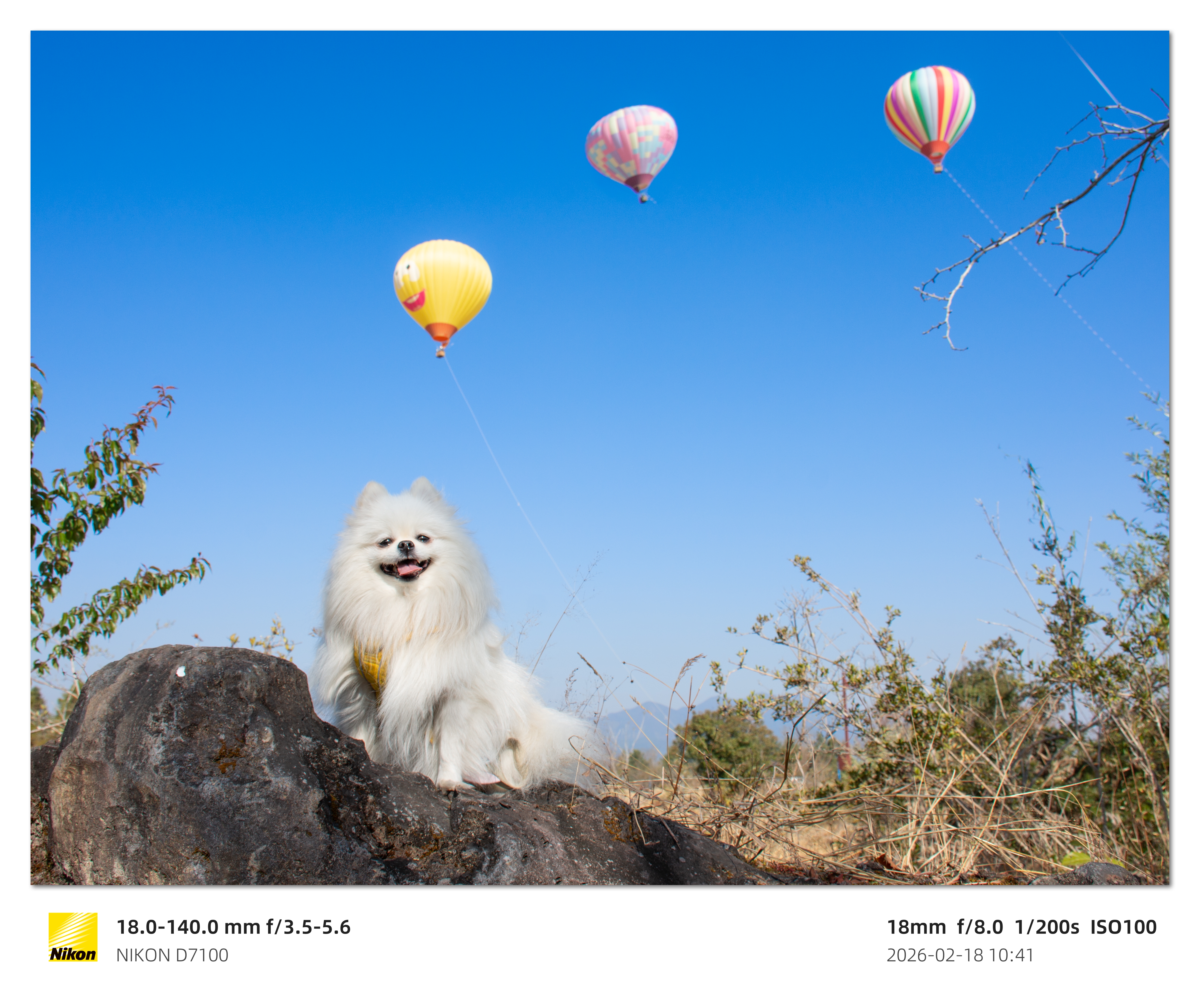腾冲独行：当“星光”占领火山地质公园