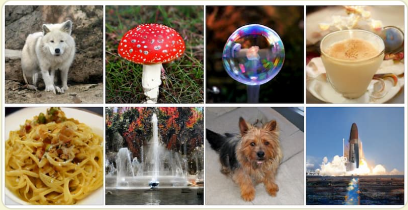 image-20210203110140561