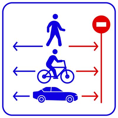 Trassir trassir direction detector