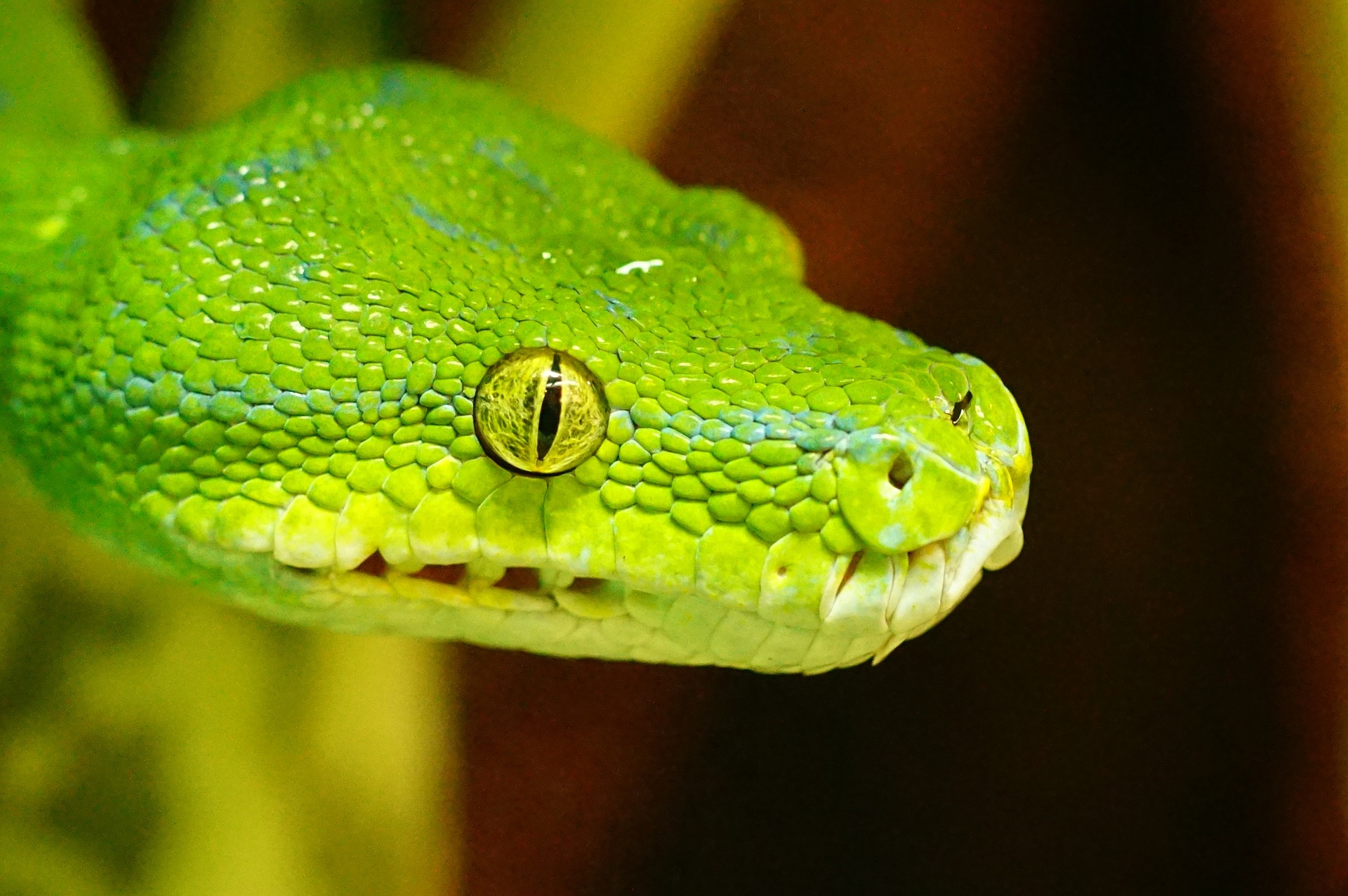 python二刷