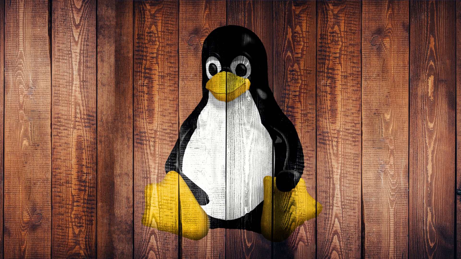 Linux(basic)