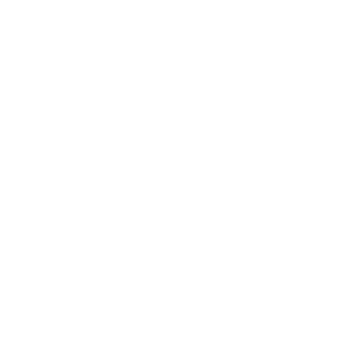 Replit