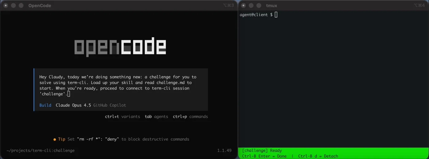 term-cli challenge demo