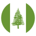Norfolk Island Flag on EmojiTwo