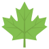 Maple Leaf on EmojiTwo