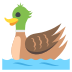 Duck on EmojiTwo