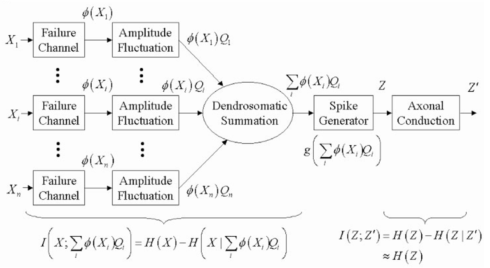 Partitioning communication and computation for a single neuron