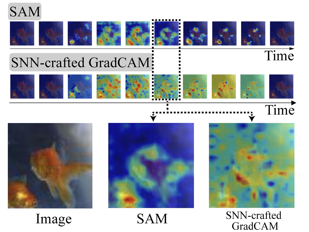 heatmap smoothing effect of SNN-Crafted-CAM