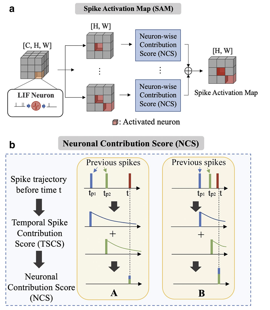 Overall Structure of SAM