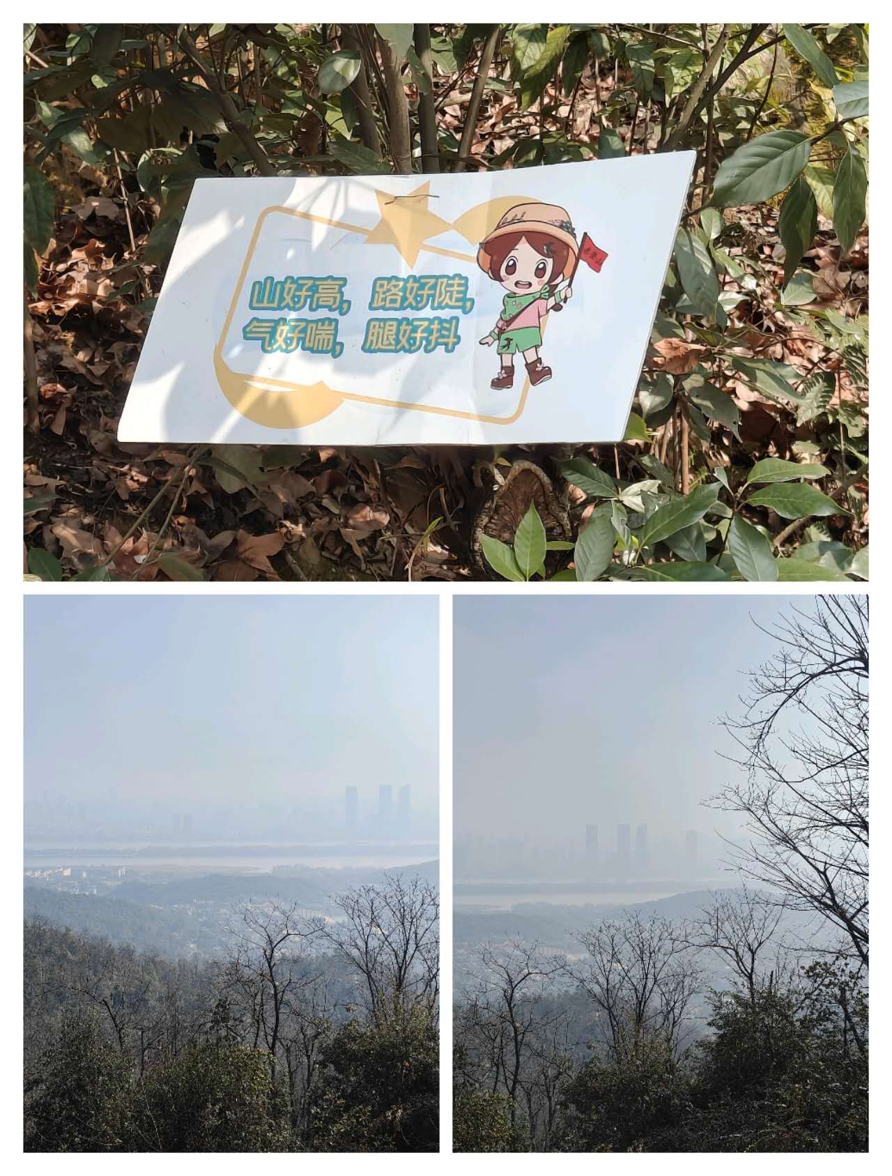 4fbc345f7e13abddff875041bbdfde86