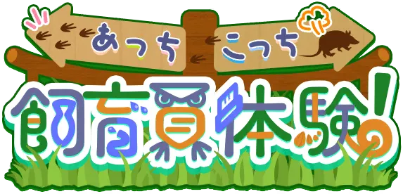 东奔西跑饲养员体验！