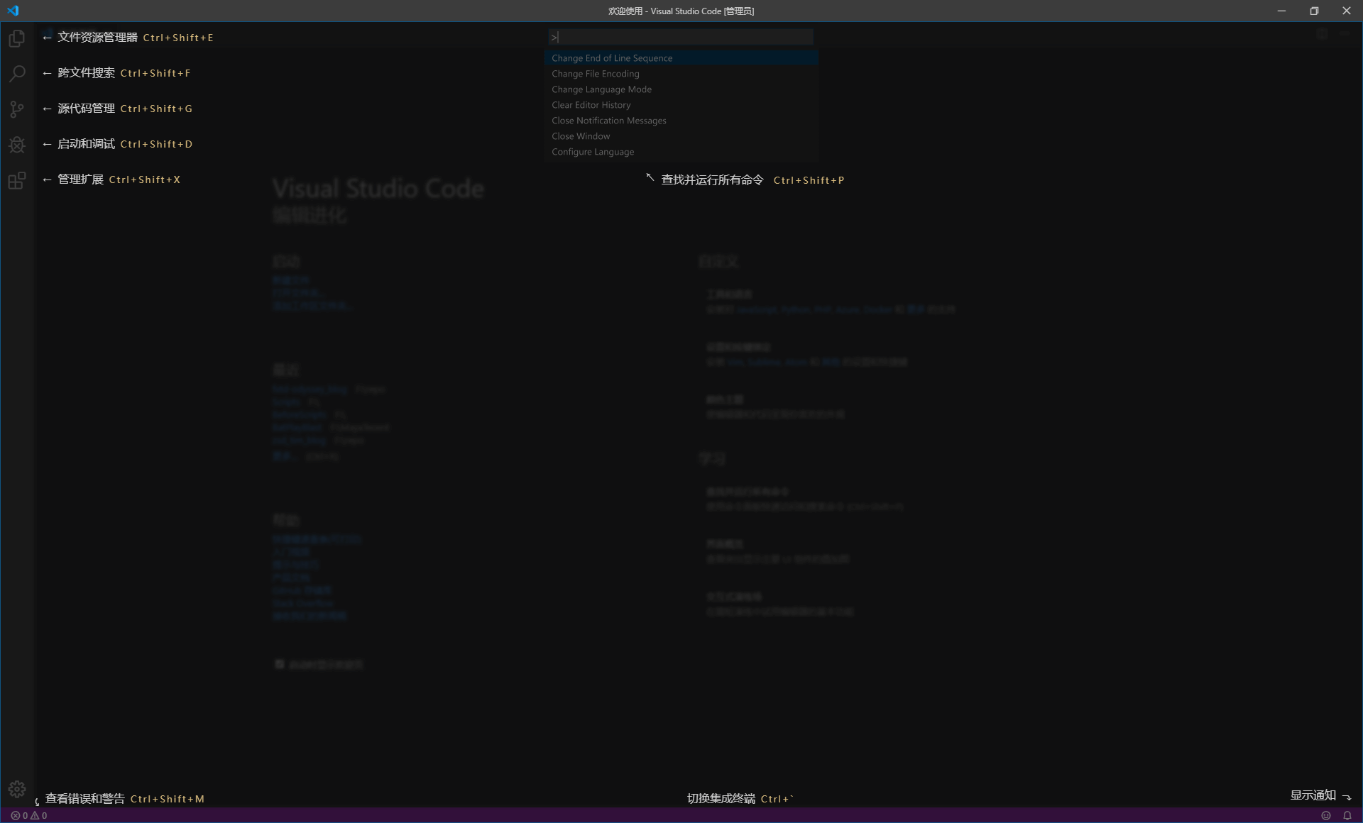 VScode 中文启动界面