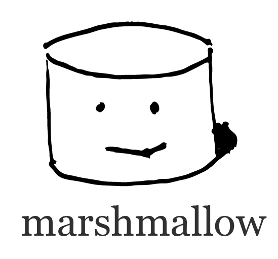 Python marshmallow 库