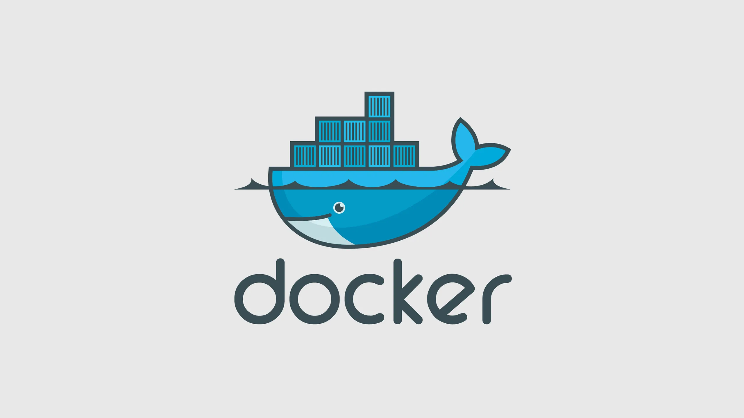 Docker Install & Usage