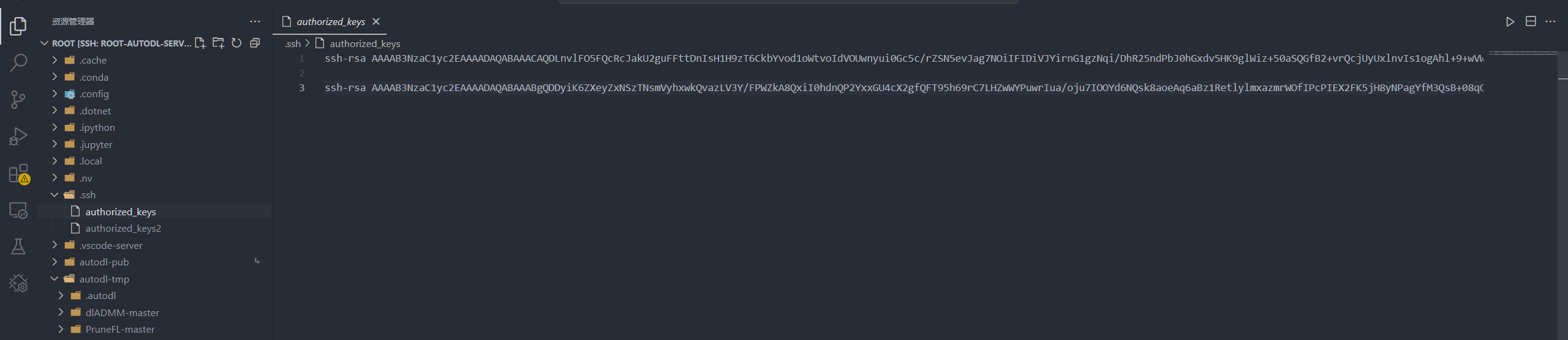 image-20250402173612878