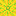 gold_melon_top