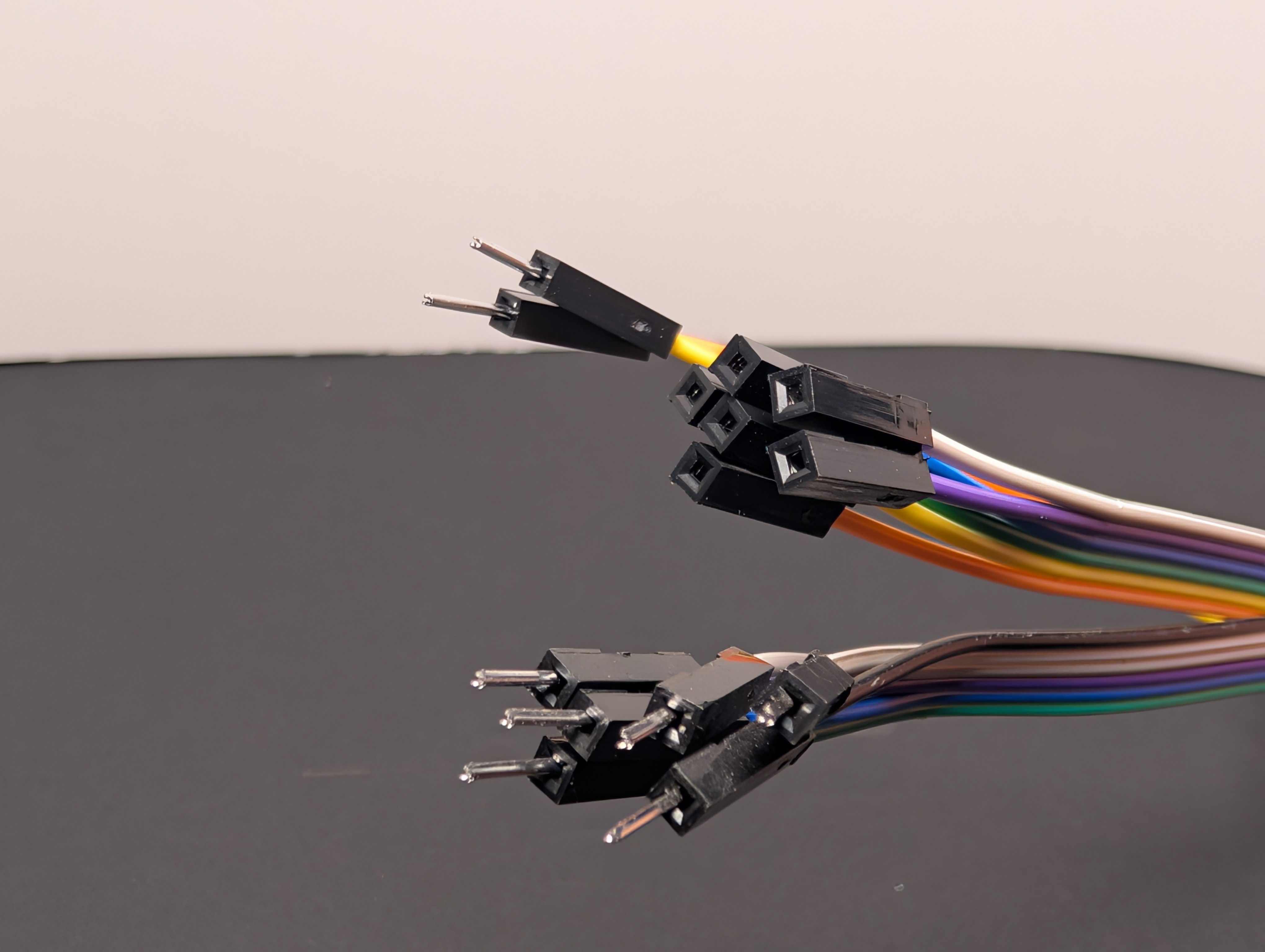 Photo of the pins and sockets at the end of a bundle of jumper wires