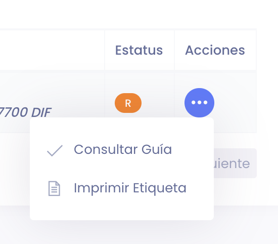 Consultar guía