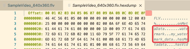 实际存储在文件中的数据