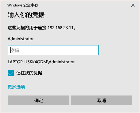 image-20230208213850412