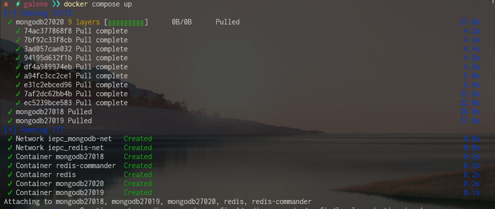 image-20230416124522790