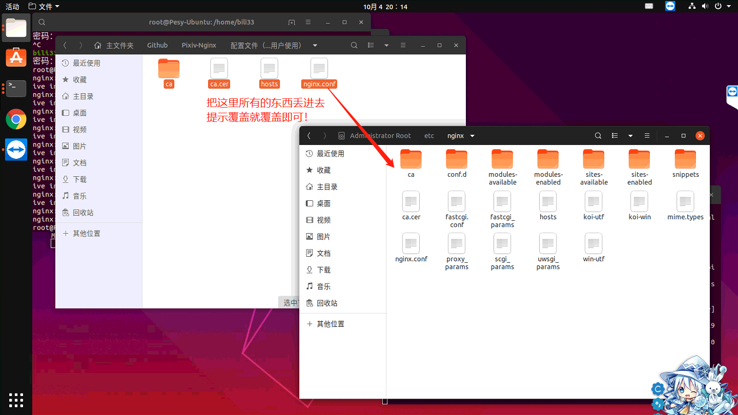 移动文件到~/etc/nginx/