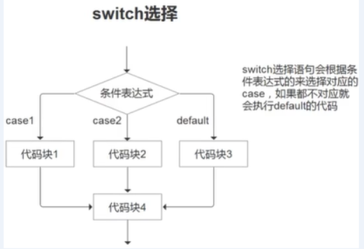 image-20221019184512832