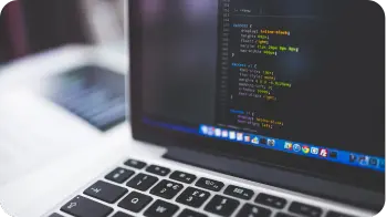 Website Development