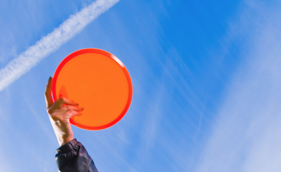 飞盘【新人向】