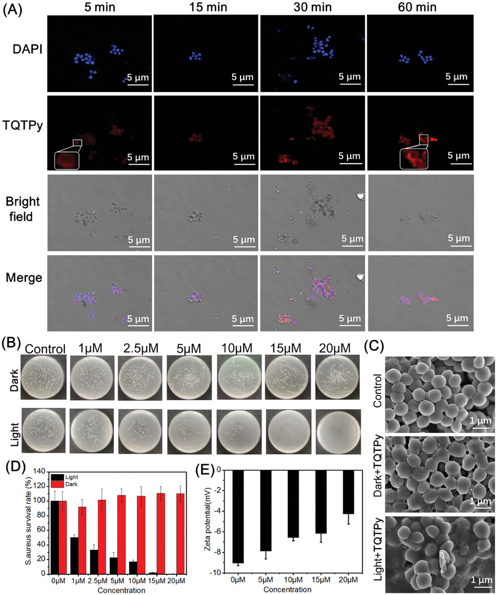详情见图片后的说明