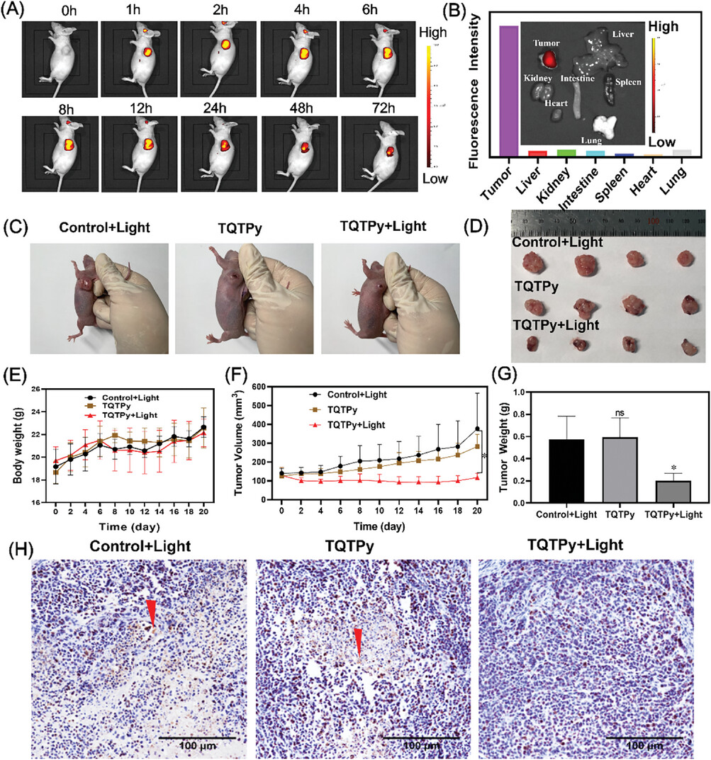 Details are in the caption following the image