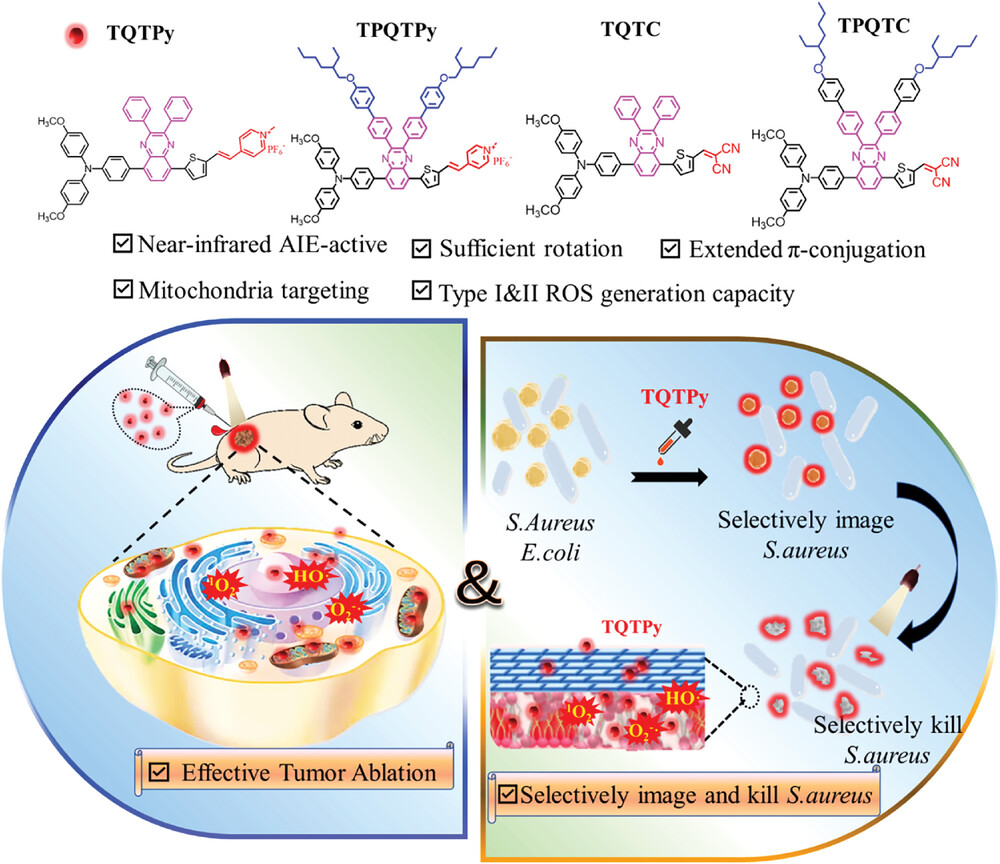 Details are in the caption following the image